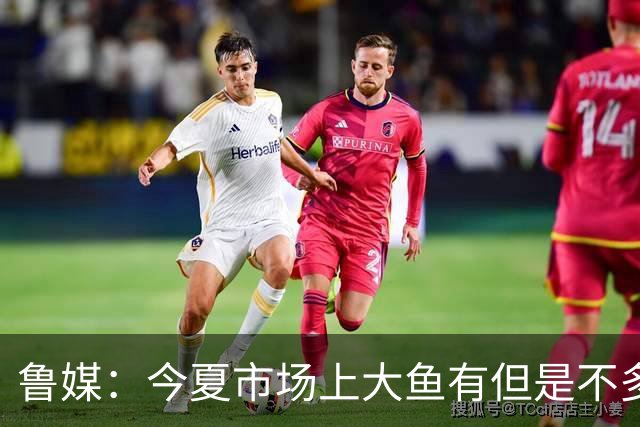 鲁媒：今夏市场上大鱼有但是不多 听说有南方球队会放出几个队员